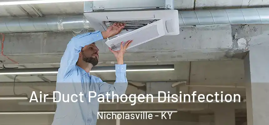Air Duct Pathogen Disinfection Nicholasville - KY