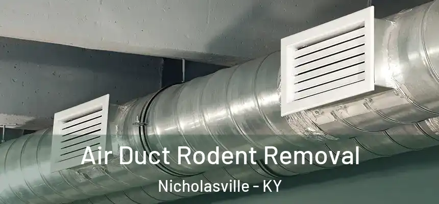  Air Duct Rodent Removal Nicholasville - KY