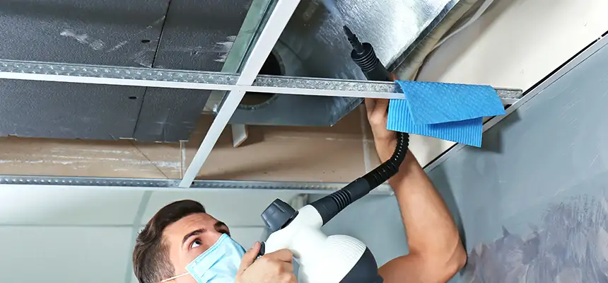 Our Air Duct Rodent Removal Services in Nicholasville, KY