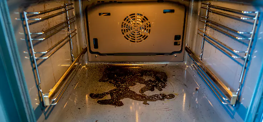 Our Dryer Vent Mold Cleaning Services in Nicholasville, KY