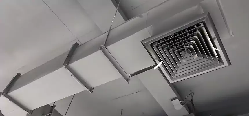 Our Pest Removal From Ducts Services in Nicholasville, KY