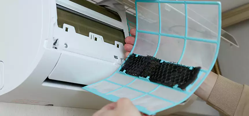 Gentle Ductwork Odor-Control Pet Dander Duct Cleaning in Nicholasville, KY