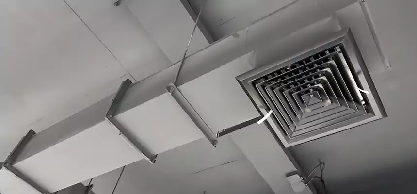 Our Rodent Droppings In Vents Services in Nicholasville, KY