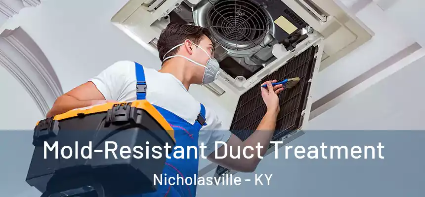  Mold-Resistant Duct Treatment Nicholasville - KY