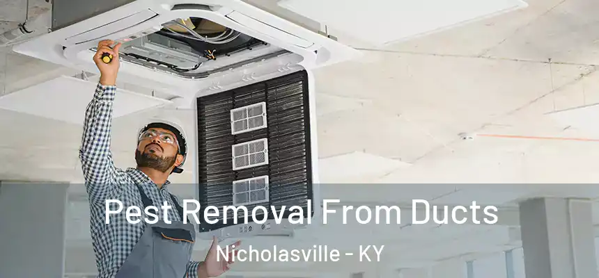  Pest Removal From Ducts Nicholasville - KY
