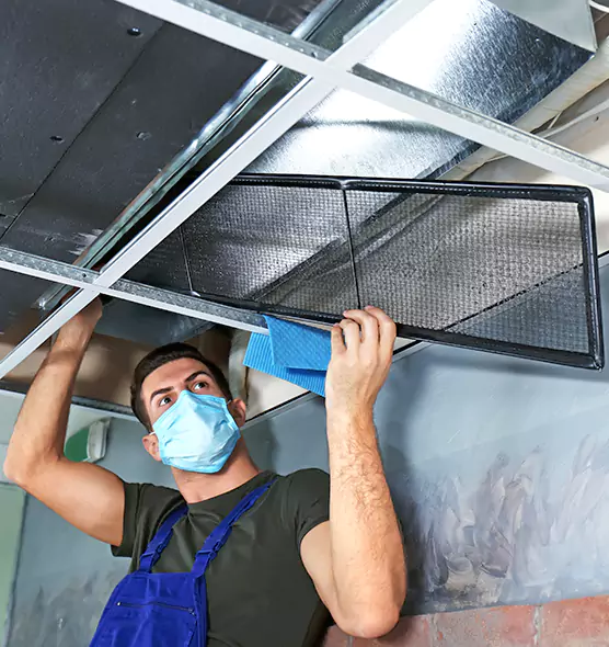 About Air Duct Bacteria Removal in Nicholasville