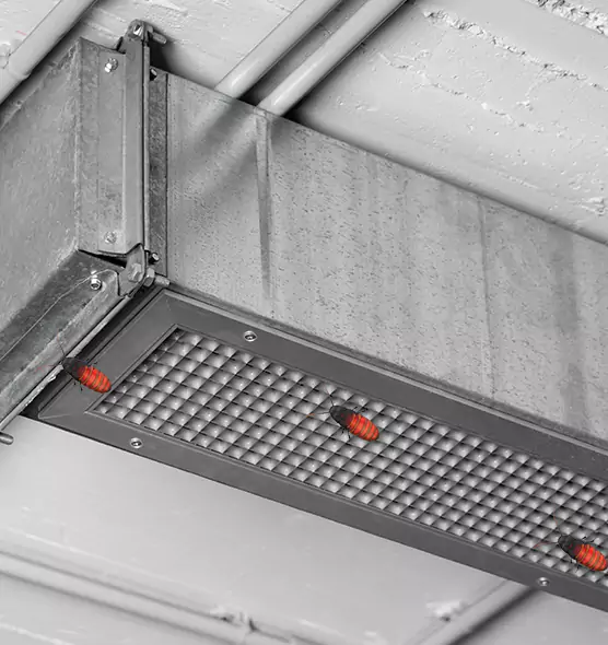 About Air Duct Cockroach Removal in Nicholasville, KY