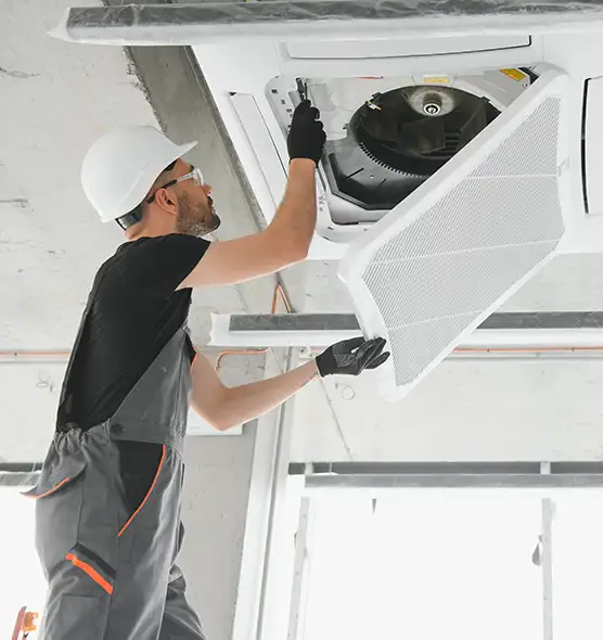 About Air Duct Rodent Removal in Nicholasville, KY