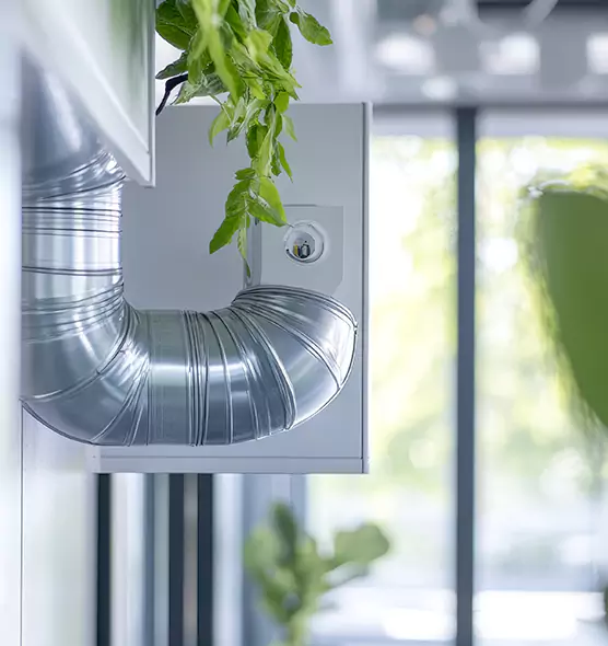 Professional Eco-Safe Dryer Vent Cleaning in Nicholasville, KY