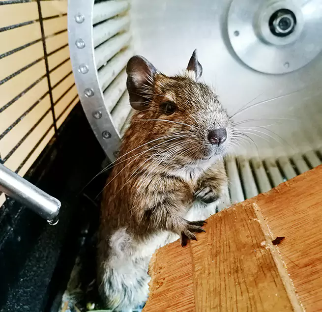 Why Homeowners & Businesses Trust Us Nicholasville, KY?