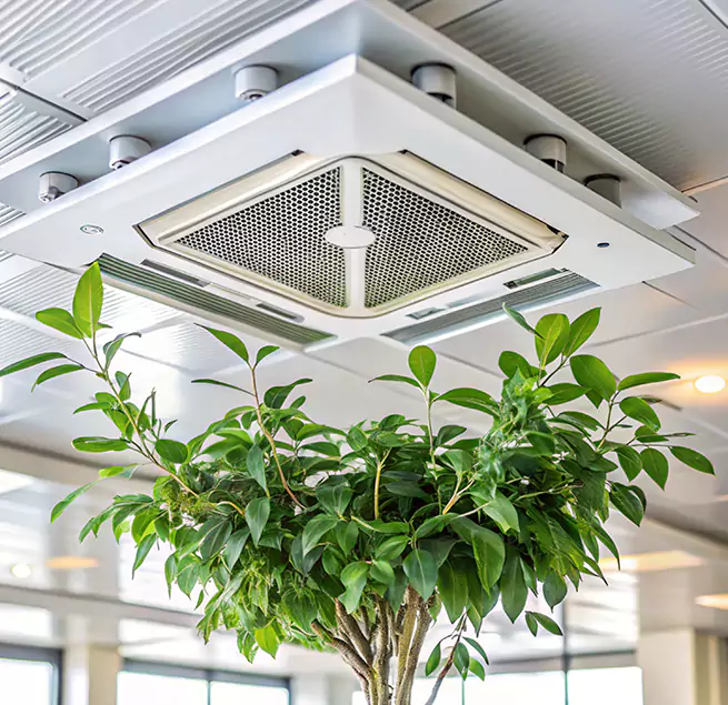 Why Homeowners & Businesses Trust Us in Nicholasville, KY?