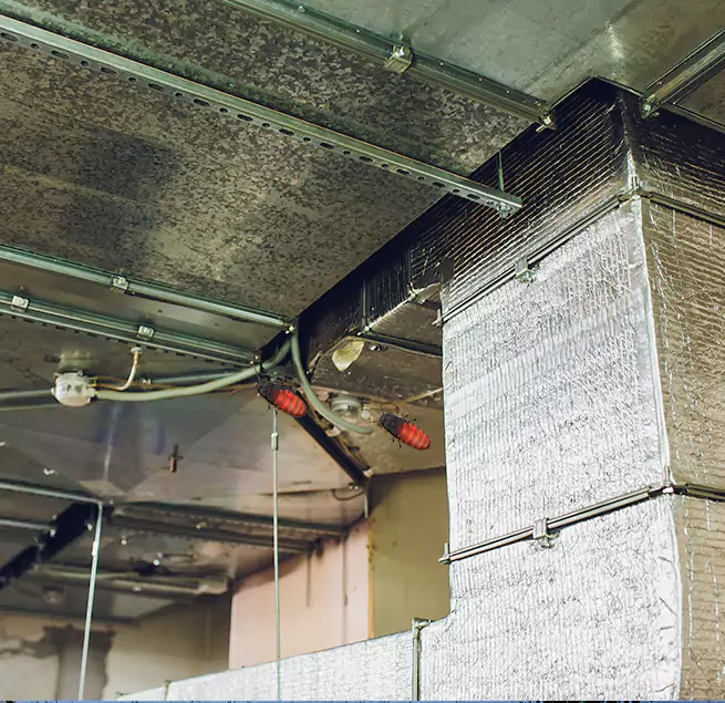 Why Homeowners & Businesses Trust Us Nicholasville, KY?