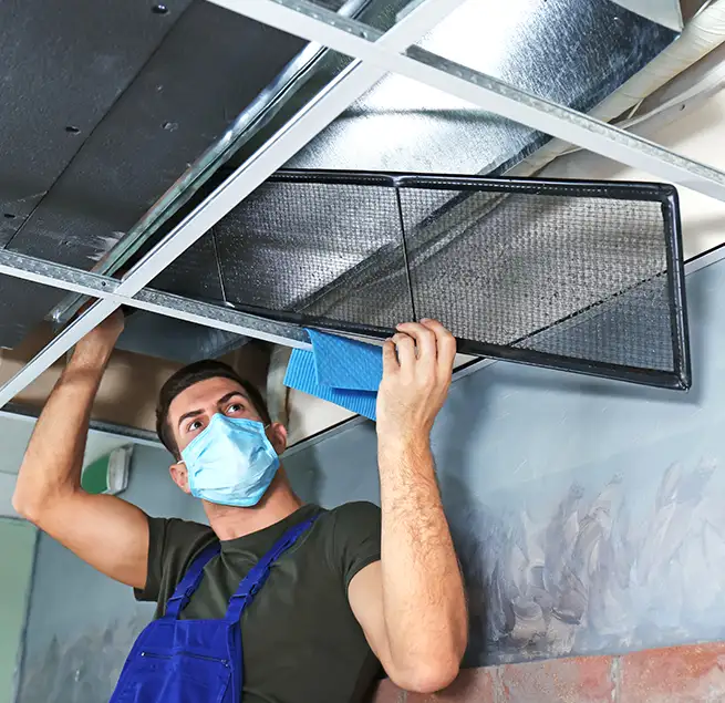 Why Homeowners & Businesses Trust Us in Nicholasville, KY?