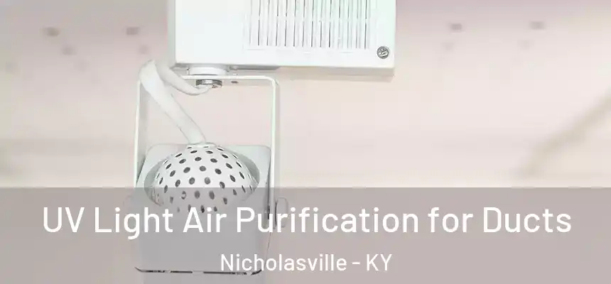 UV Light Air Purification for Ducts Nicholasville - KY